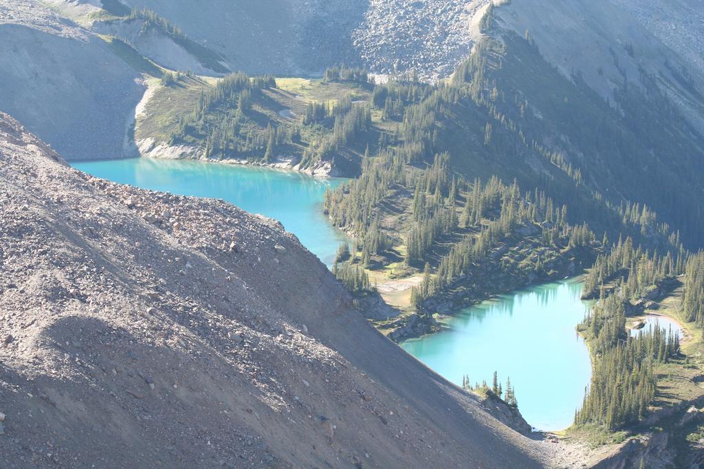 Vagabond Lodge At Kicking Horse Golden Dış mekan fotoğraf
