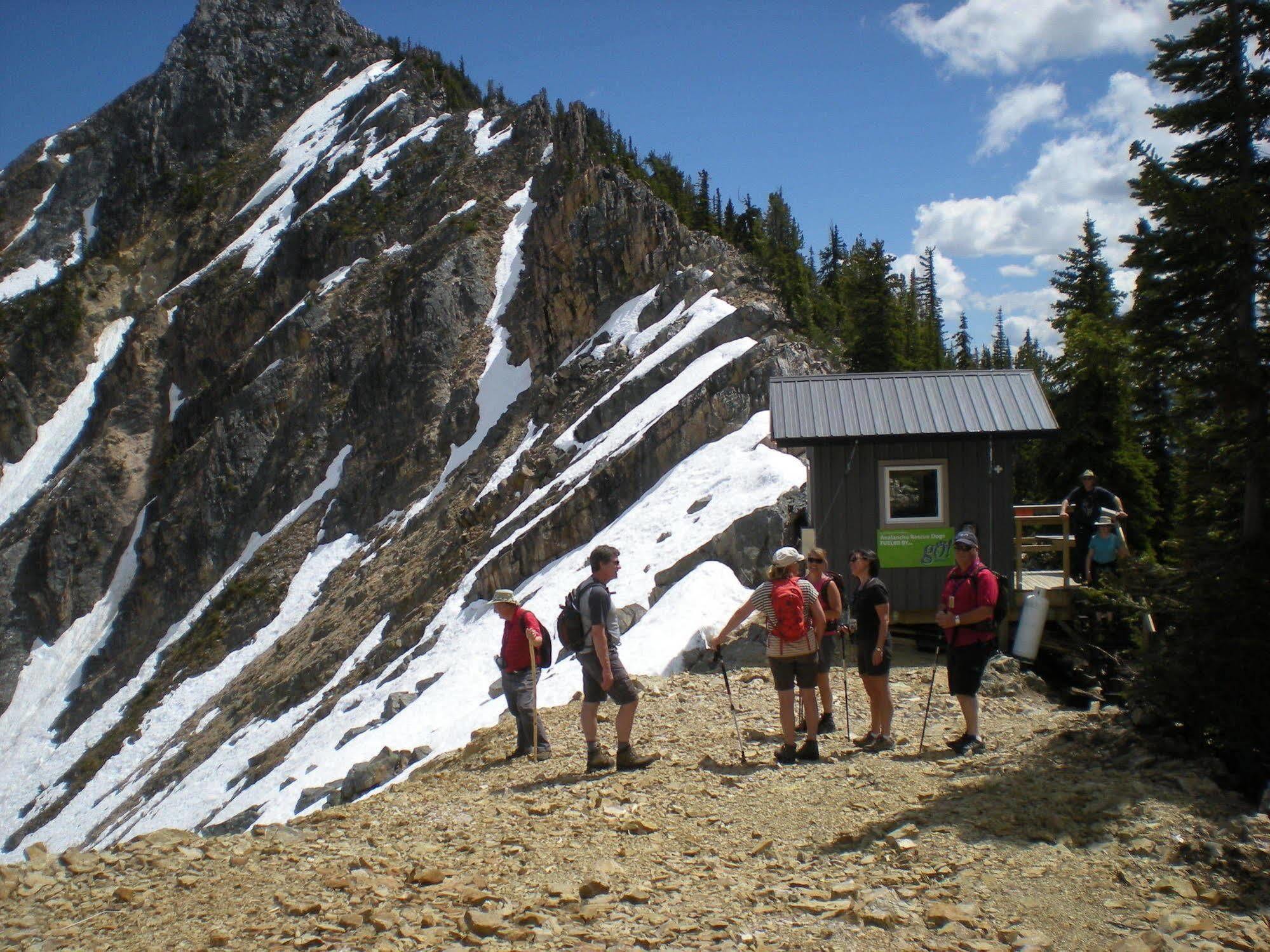 Vagabond Lodge At Kicking Horse Golden Dış mekan fotoğraf